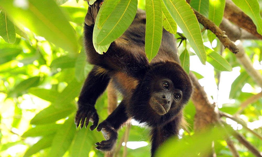 Finding adventure in Costa Rica with Chloe Gunning