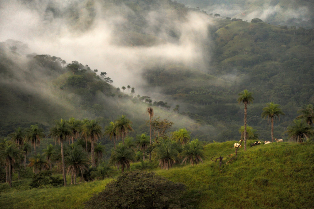 Monteverde Cloud Forest Reserve (Shutterstock)